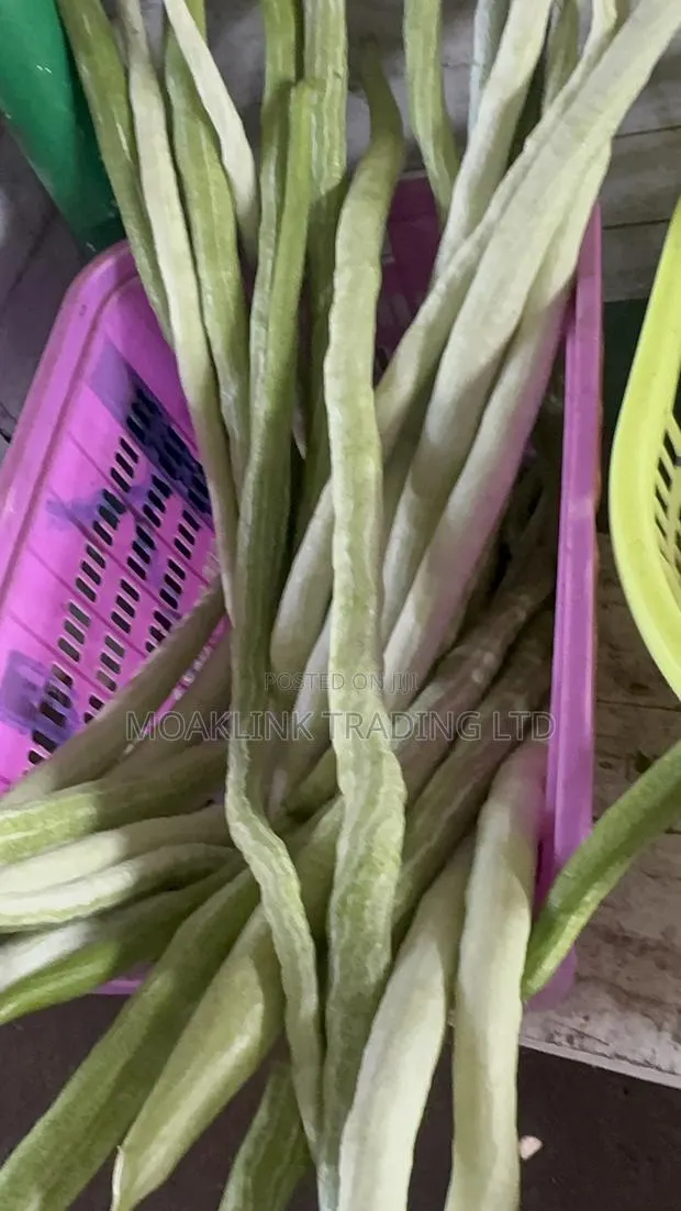 Fresh Snake Gourd · Photo 1
