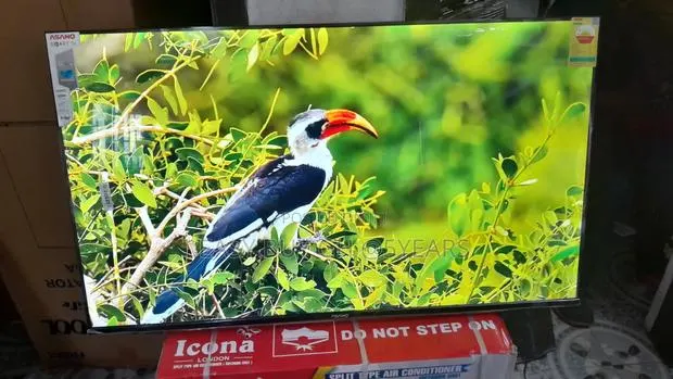 Crystal-Clear Moments on Ansano 50” Screen · Photo 1