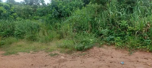 Well Located 4plots of Land at Kwabere Kasaam for Sale