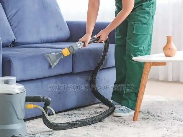 Home and Car Sofas Dirt Away · Photo 1