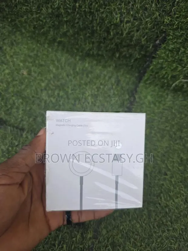 Apple Watch Charger (Type C) · Photo 1