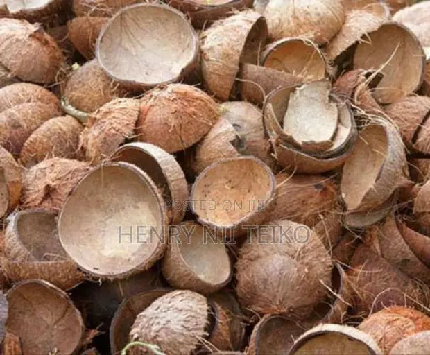 Raw, Uncarbonized Coconut Shells For Sale In Bulk · Photo 1