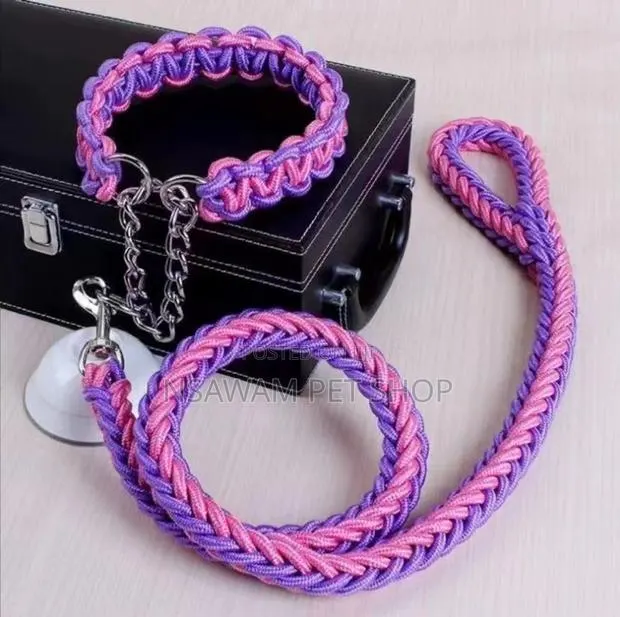 Woven Leash With P-Choke Chain · Photo 1