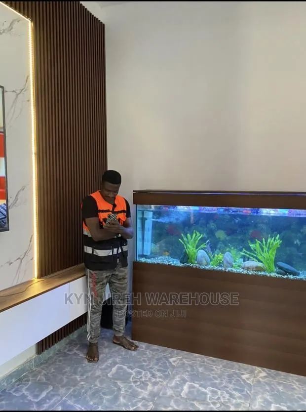 Dansoman Aquarium With Fishes · Photo 1