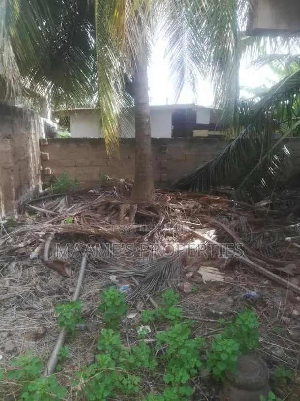 70x100 Titled Land With Old Structure on at UPSA · Photo 1