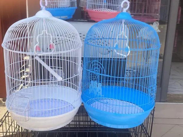 Queens Parrot Cage · Photo 1