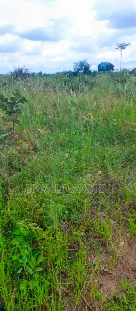 Land for Sale · Photo 1