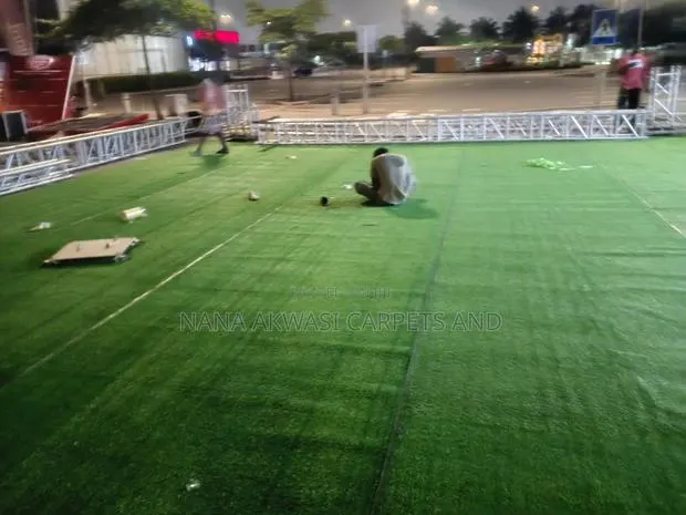 Astro Turf Grass Carpet · Photo 1