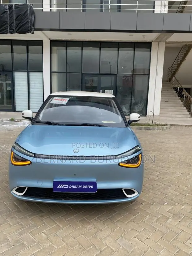 New Dongfeng Nammi 01 42.3 kWh 430 Air 2025 Blue · Photo 1
