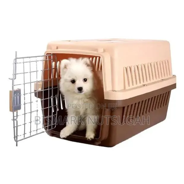 Plastic Dog Cage for Sale · Photo 1