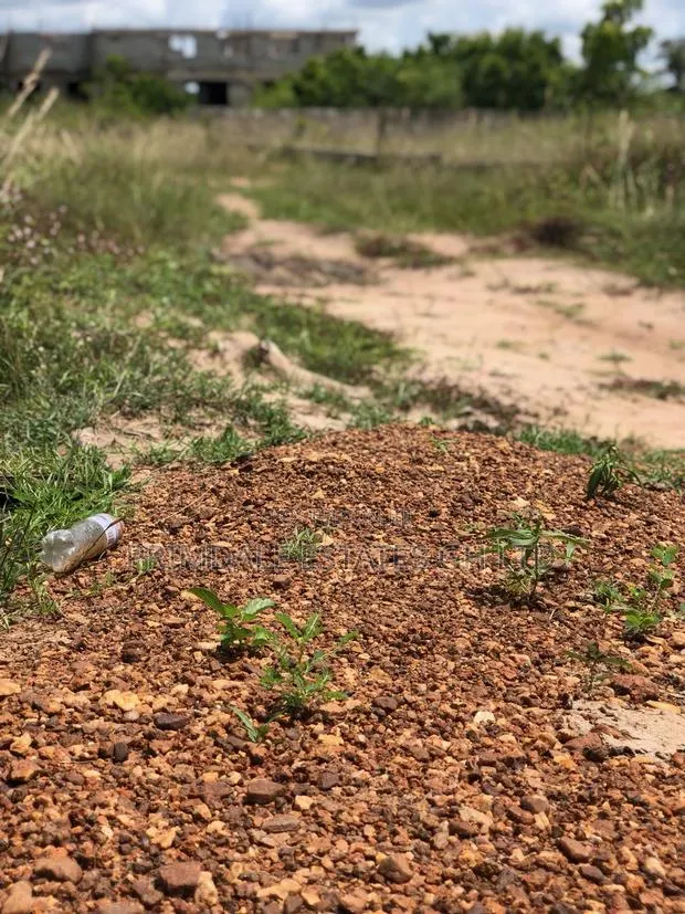 Serene Environment Estate Lands on Sale Afienya · Photo 1