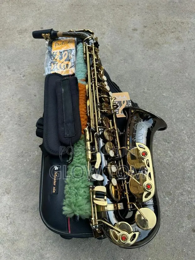 Selmer Alto Saxophone - Gold & Black · Photo 1