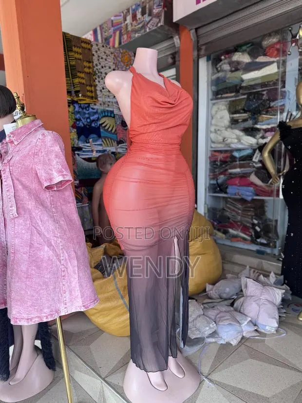 Bodycon Maxi Mesh Dress · Photo 1