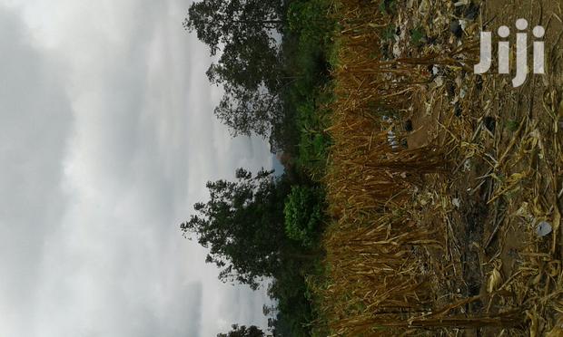 Farmlands,Residential Lands and Cocoa Farmlands · Photo 2