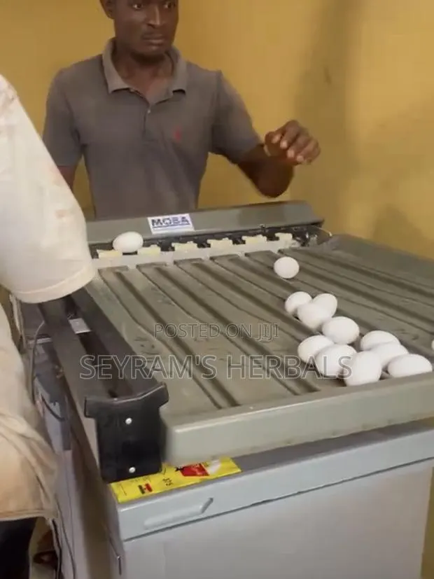 Egg Sorter · Photo 1