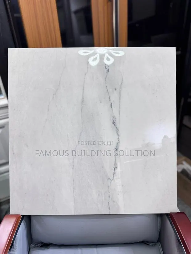 60/60 Made in India Floor Tiles · Photo 1