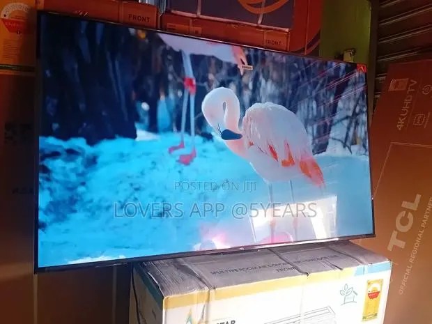 TCL 55inches Tv – Perfect for Streaming Your Favorites · Photo 1