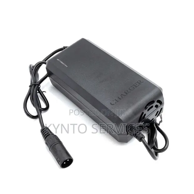 54.6V 5Ah E-Bike Lithium Battery Charger (48V) · Photo 1