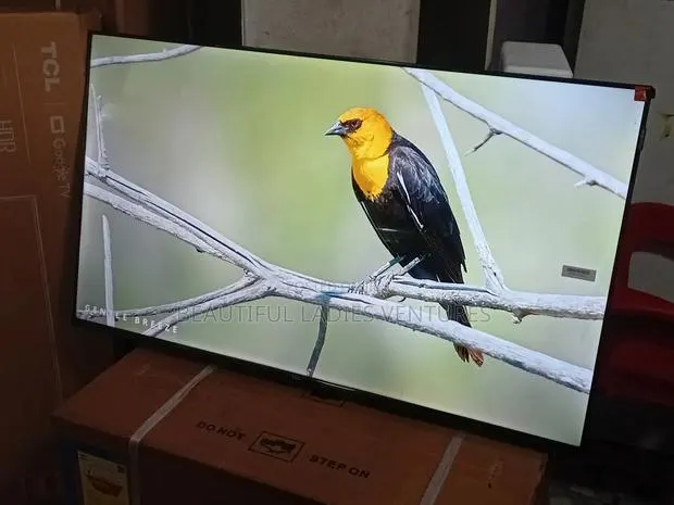 TCL 43-Inch Hd Tv – Clear Images, Powerful Sound · Photo 1