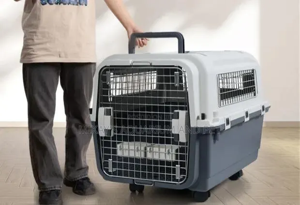 Flight Crate With Wheels for Bigger Dogs[Large] · Photo 1