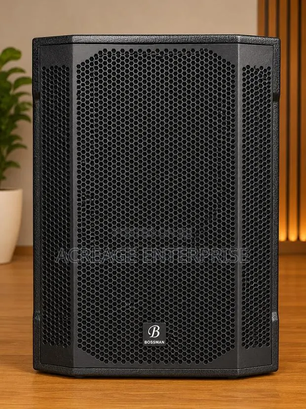 Bossman Single Sub Speaker · Photo 1