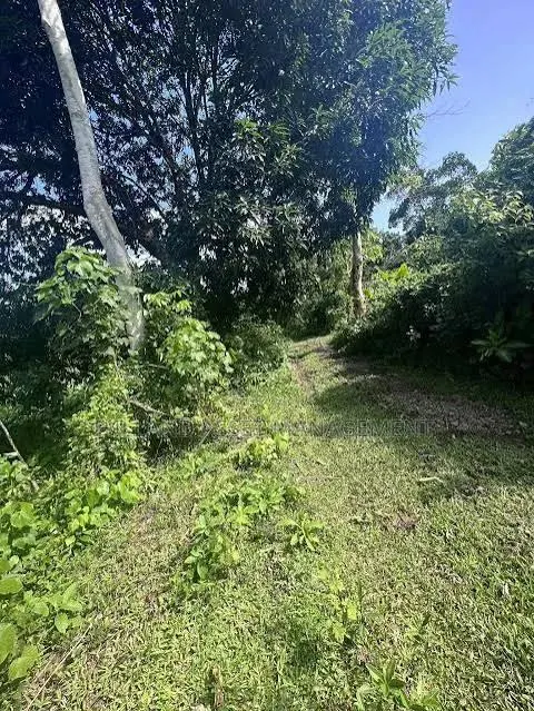 10,000 Farm Lands Forsale or Lease in Takoradi · Photo 1