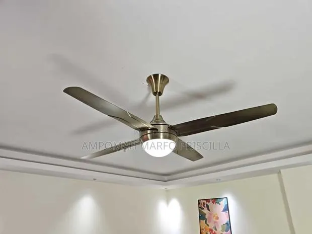 Metallic Art Ceiling Fan With Light & Remote Control · Photo 1
