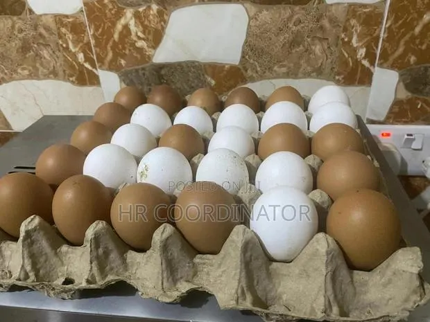 Food Items-Like Eggs · Photo 1