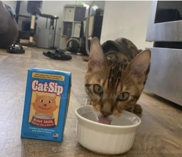 Catsip Milk for Kitten · Photo 1