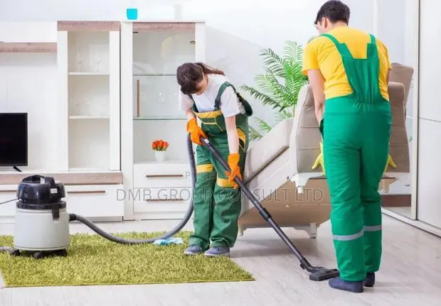 We Are Cleaners/Cleaning Our Job · Photo 1