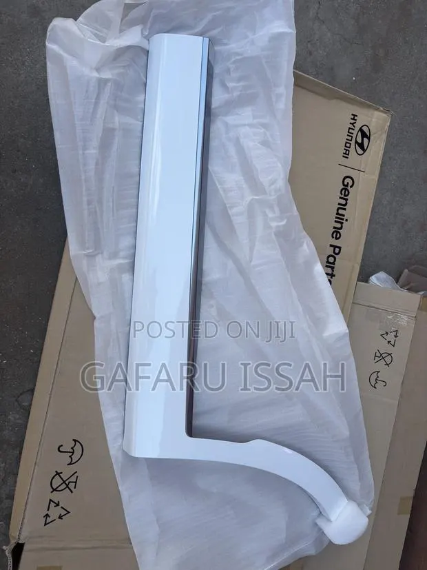 Hyundai Pallaside 2018- Back Door Moulding · Photo 1
