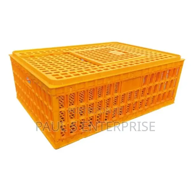Transport Basket High Quality Wholesale and Retail · Photo 2