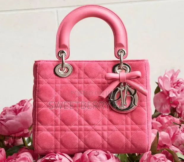 Ladies Hand Bag · Photo 1