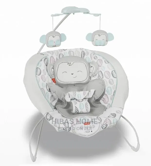 Fisher Price Snuga Extra Cozy Plush Baby Rocker/ Bouncer · Photo 1