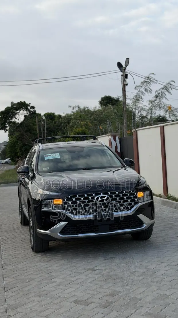 Hyundai Santa Fe Limited 2022 Black · Photo 1