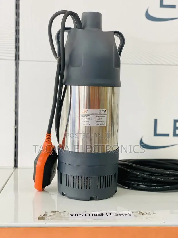 Portable 1.5hp Leo Submersible Pump · Photo 1