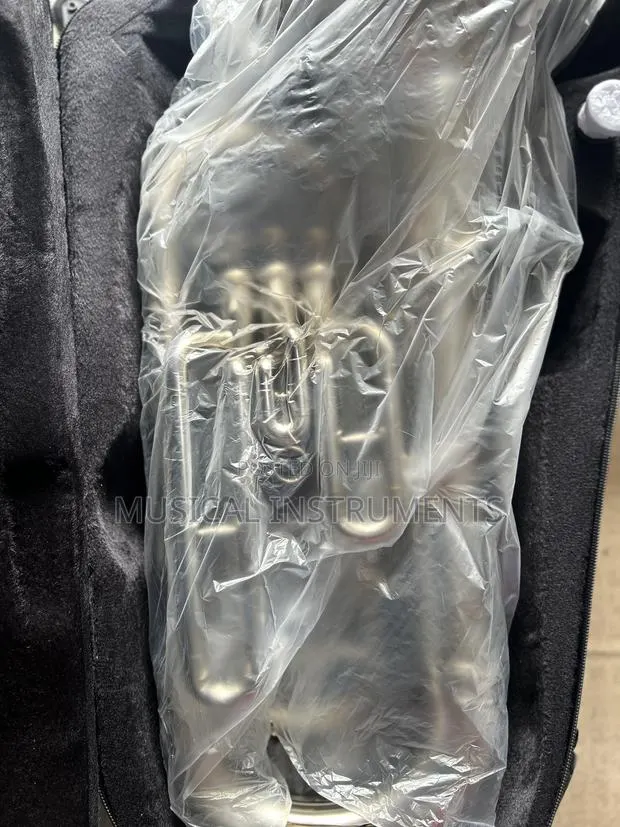 Euphonium Silver · Photo 1