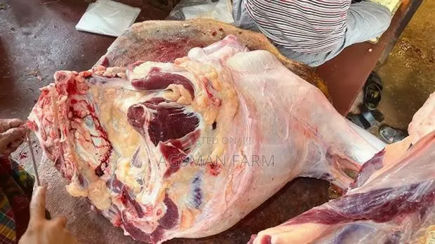 Fresh Caw Meat · Photo 1