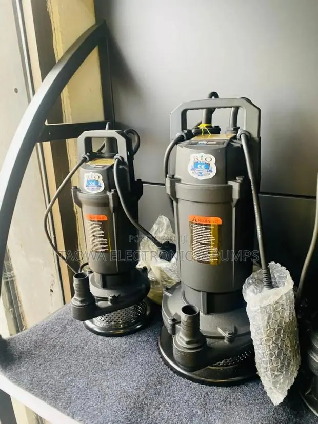 More Stable Rio 1 Hp Sewage Water Pump · Photo 1