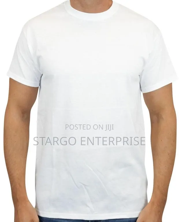 Gildan Plain White Tshirt · Photo 1