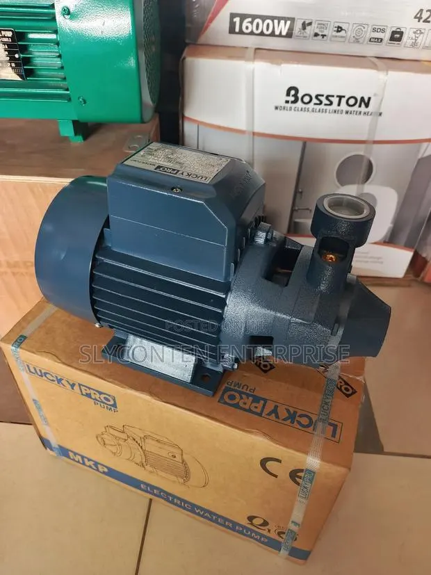 Lucky Pro 1hp Peripheral Water Pump · Photo 1