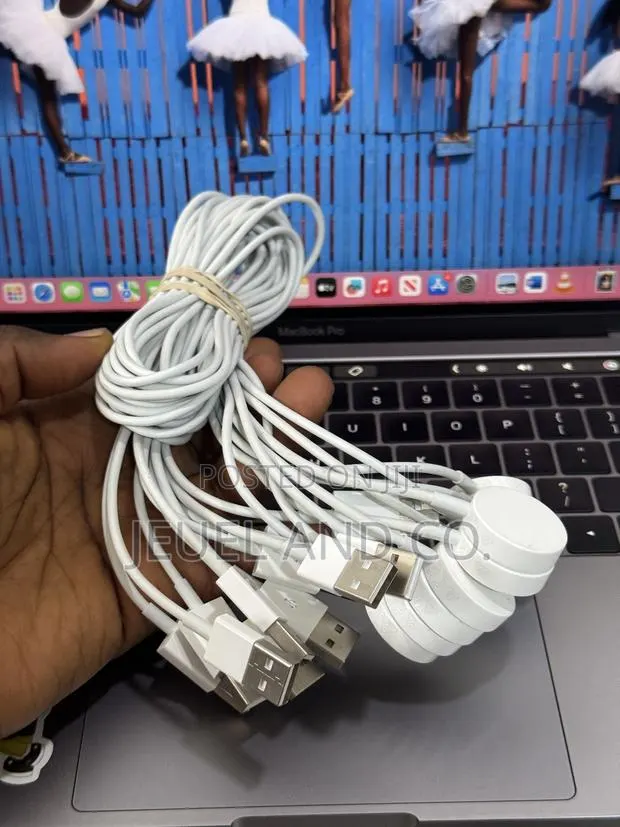 Original Foreign Used Apple Watch Charger Usb A · Photo 1