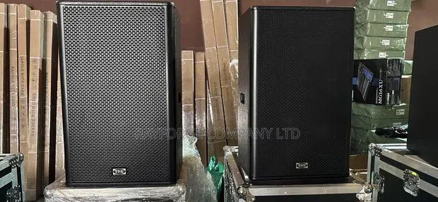 15-Inch Two-Way Full-Range Multipurpose Speaker · Photo 1