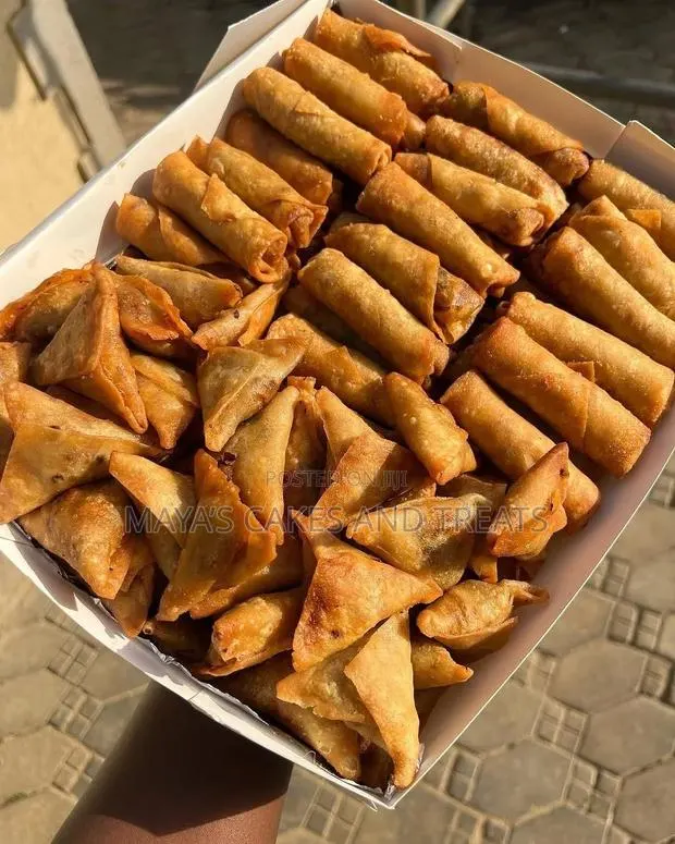 Fried Spring Roll and Samosa · Photo 1