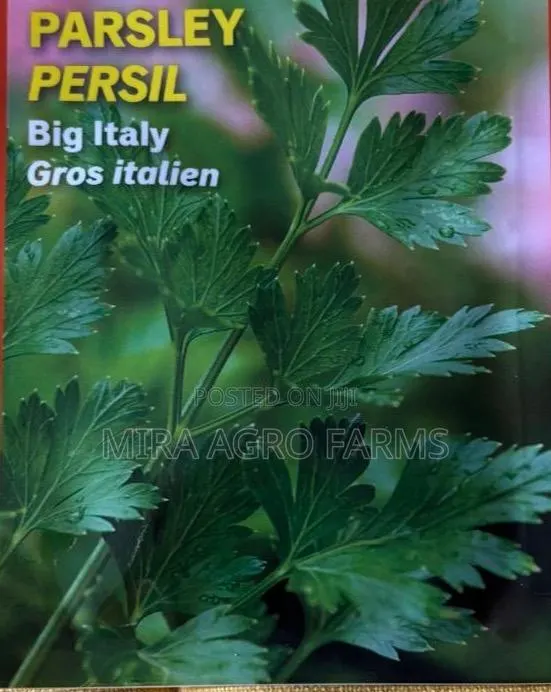 Fruits, Herbs and Spices Seedlings · Photo 2