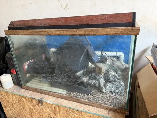 Aquarium , Fish Tank · Photo 1