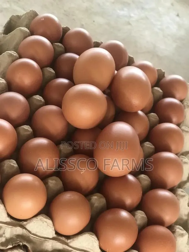 Eggs Table Eggs · Photo 1