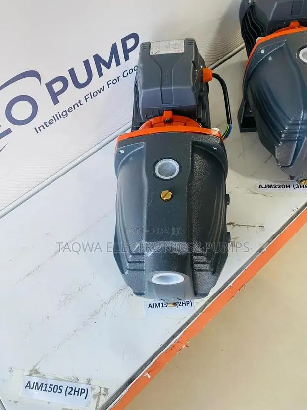 Order 2hp Leo Cast (Ajm150l) Pump · Photo 1
