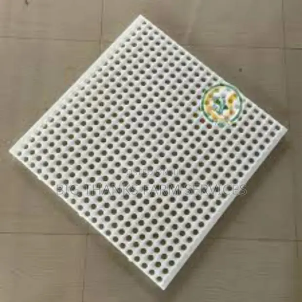 Rabbit Mats · Photo 1