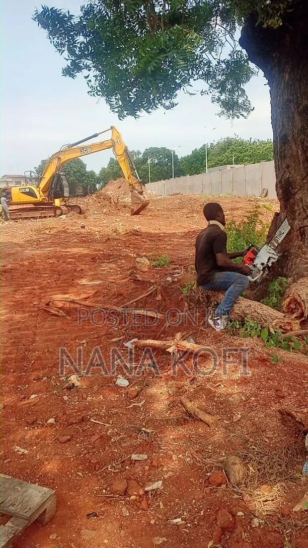 Tree Cutting, Prunning, Trimming With Chainsaw Operator · Photo 1